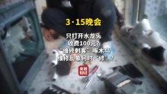 <b>平台默许放贷人利用虚假账号规避法令风险人人</b> 